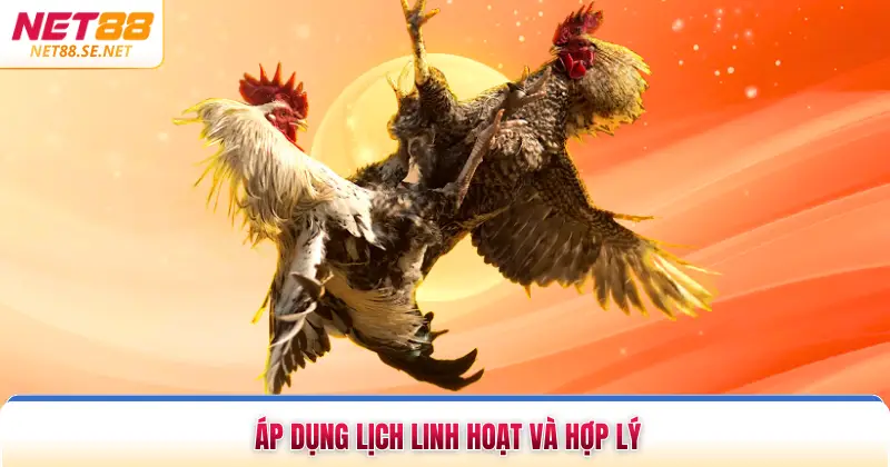 Áp dụng lịch linh hoạt và hợp lý