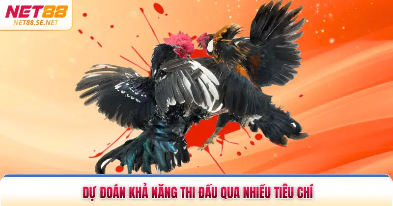 Dự đoán khả năng thi đấu qua nhiều tiêu chí